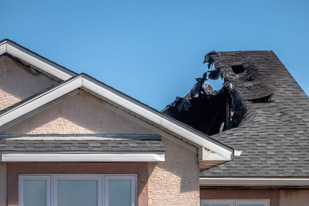 Top rated local Odor Removal specialists in Bellaire, TX